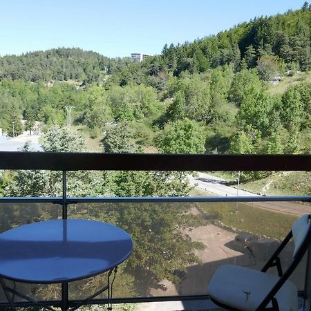 La Grande Moucherolle Bis Villard-de-Lans Bagian luar foto